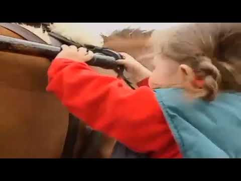 Teletubbies TV Emily and the Trap Date 6 May 1997