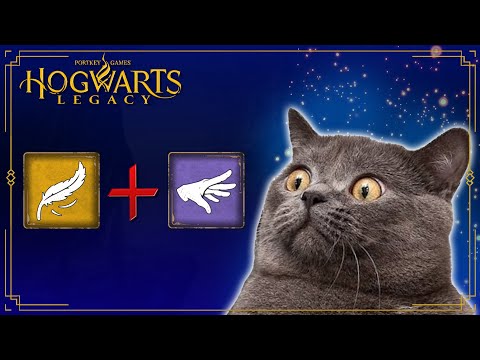 Hogwarts Legacy What Happens If You Use DEPULSO on Cats?