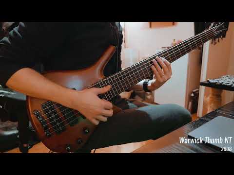 Warwick Streamer LX 6 fretless vs Thumb NT 6 vs Streamer LX 6 - SLAP groove