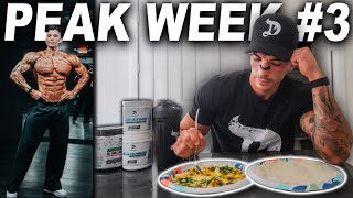 FULL DAY OF EATING - 1 WEEK OUT!