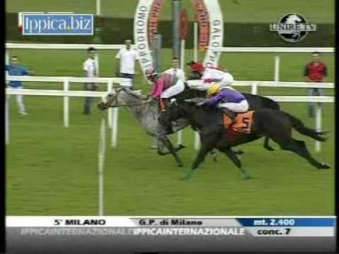 Gran Premio Di Milano 2011 (GR 1)