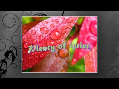 Happy B-D Dear Osama