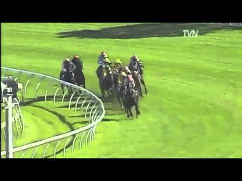 2011 Darley TJ Smith Stakes