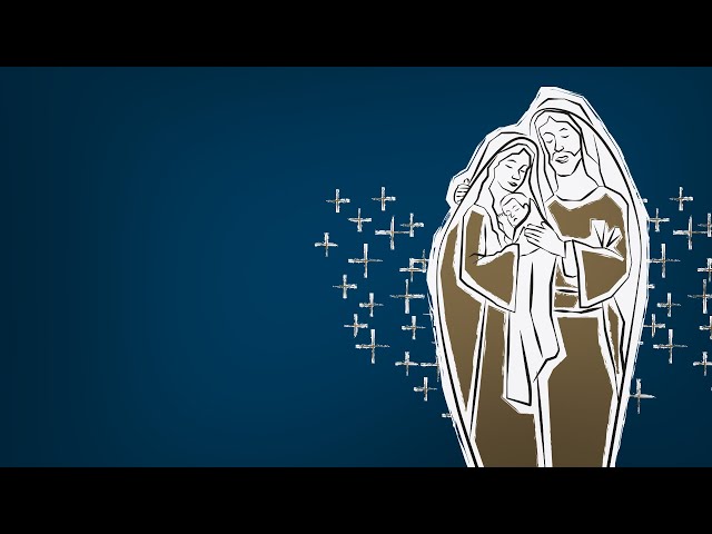 Preview do vídeo