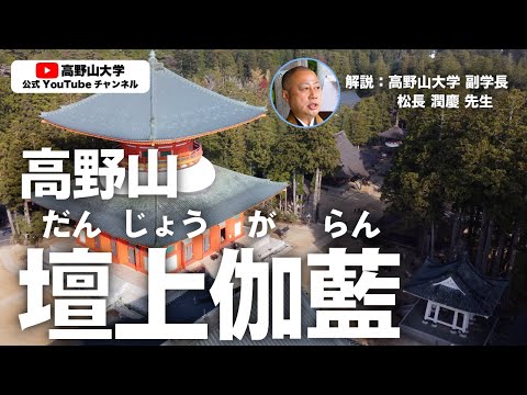 高野山のシンボル 根本大塔の堂内で解説！高野山大学副学長が語る高野山の魅力Part1