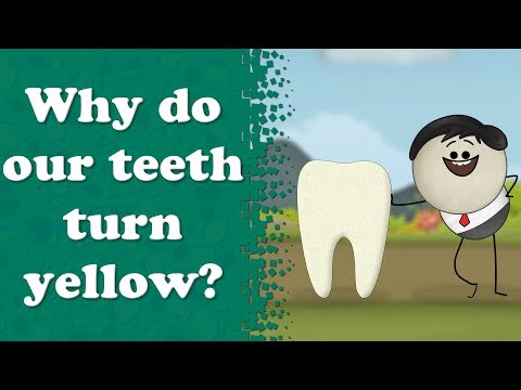 私たちの歯はなぜ黄色くなるのか？| 歯が黄色くなるのはなぜ？ (Why do our teeth turn yellow? | #aumsum)