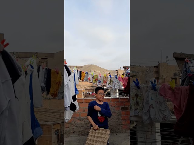 Vídeo relacionado con Minecraft Calzoncillos para Niños, Ropa Interior de Algodón, Pack de 5 - Regalo Gamer (Multi, 7-8 Años)