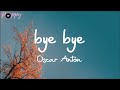 Oscar Anton - bye bye (Lyrics) | It's not about the things you do