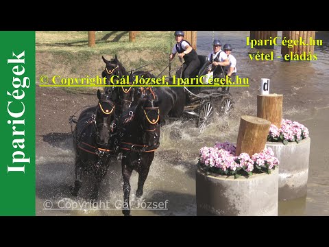 Fogathajtás, GEES Sam (5), BEL, 7s, Marathon, 4K, Bp, 2021, sv4K210904-2-001-220801