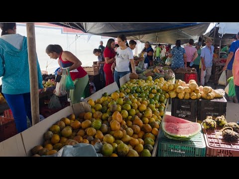  Feira Livre de Minador do Negrão, sábados. Alagoas. 04.07.2026