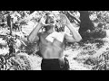 Tarzan Movie Trailers Collection
