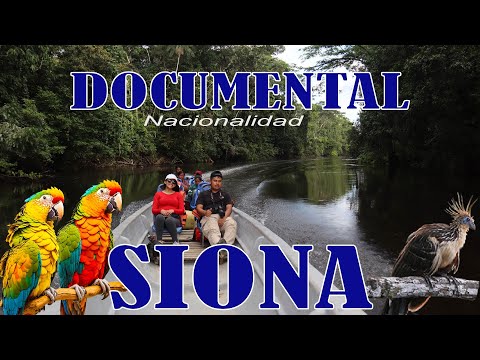 DOCUMENTAL DE LA COMUNIDAD SIONA EN PUERTO BOLÍVAR CANTÓN PUTUMAYO, SUCUMBÍOS, ECUADOR.