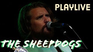 PlayLive - The Sheepdogs-  Bad Lieutenant
