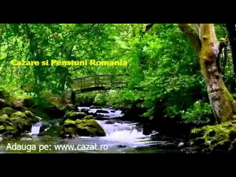 Cazare Bixad, Covasna - Cazat.ro