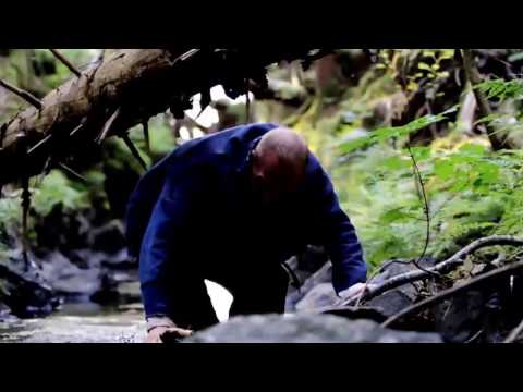 The Partille Cup Trophy