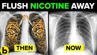 One Cup A Day Will Flush Nicotine From Your Body Away