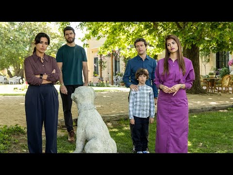 EL FAVOR - Tráiler Oficial HD