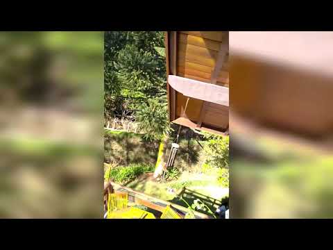 Vídeo