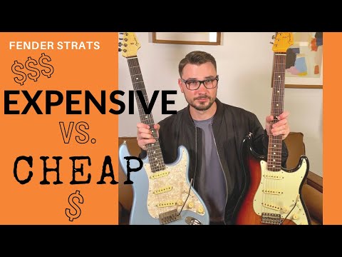 USA STRAT // VS // MEXICAN STRAT - WHICH ONE SHOULD YOU BUY???