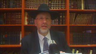 Pele Yoets VIVRE UNI