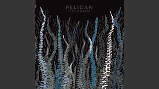 A Delicate Sense of Balance (Live In Poland 11/23/07)