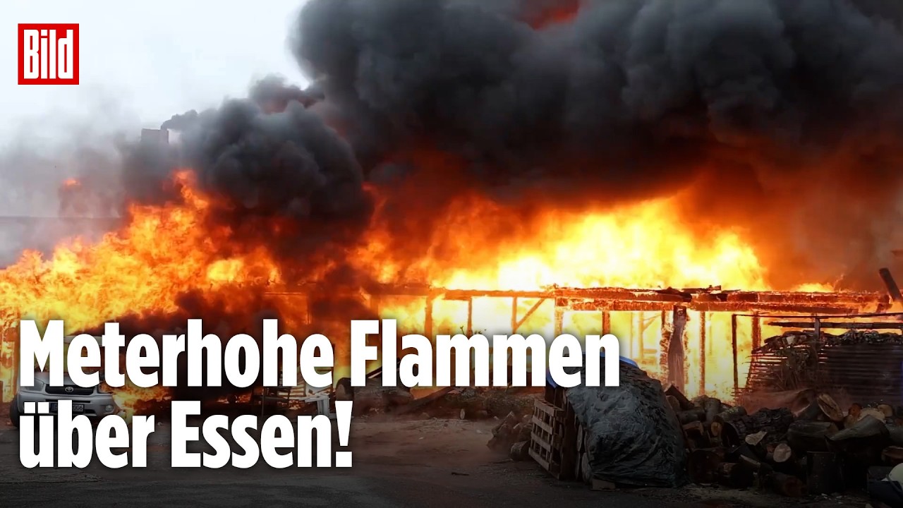 Großbrand in Essen-Frillendorf: Holzbetrieb in Flammen