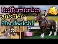 Reiterferien Aus Der Sicht Der Pferde Schleich