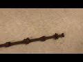 Homemade Harry Potter Wand Out Of Paper Elder Wand