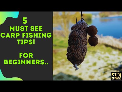 5 Essential Carp Fishing Tips For Beginners | 2021