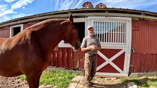 A FANCY NEW DOOR for the Horse Barn!! #839