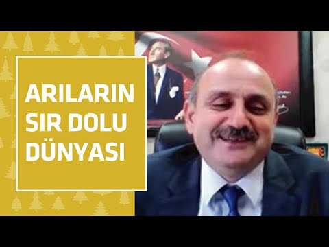 Arıların Sır Dolu Dünyası #TarımOrmanAkademisi