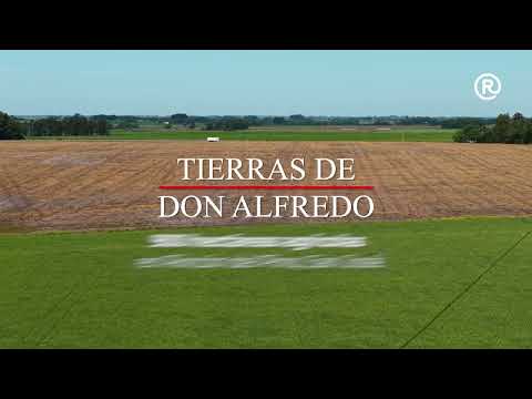 Licitación TIERRAS DE DON ALFREDO