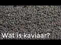 Wat is kaviaar? | Vragen van Kinderen