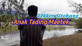 Download lagu Tekken Sitohang - Anak Tading Maetek ( Lyrics Dan Terjemahan) Lagu Batak Terbaru 2024 mp3