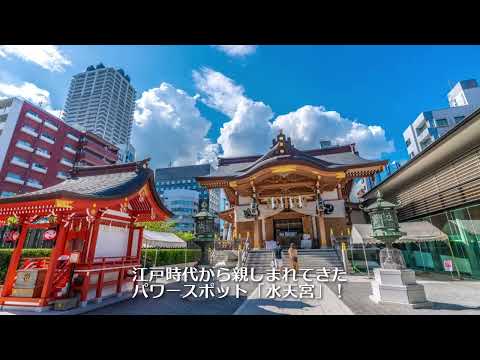 動画サムネイル