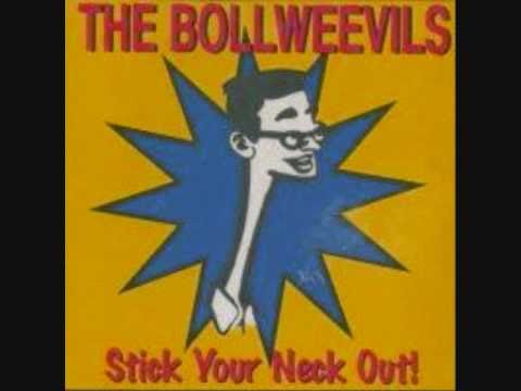 The Bollweevil's- Talk People