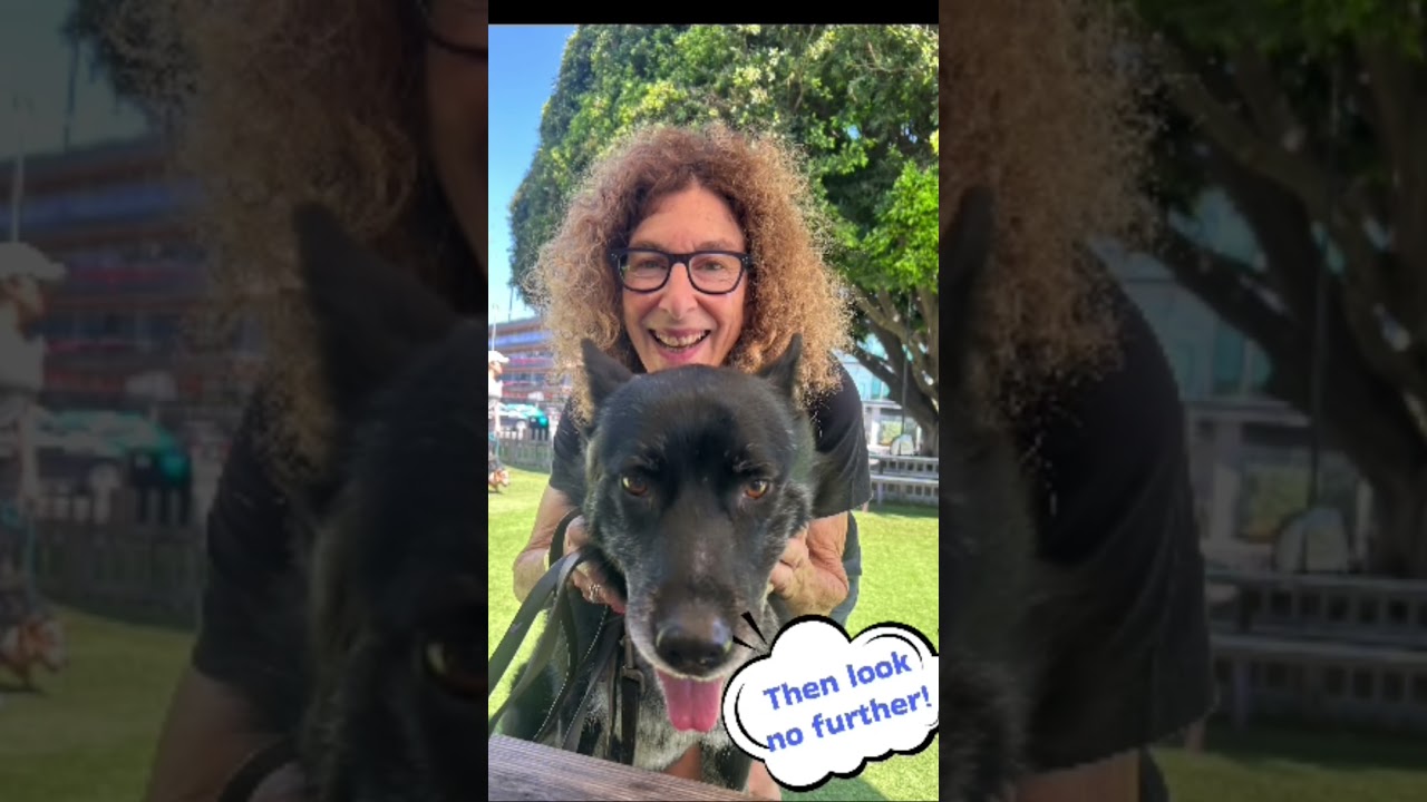 Mercury, a ADOPTABLE mixed breed in Burbank, CA video 5/6