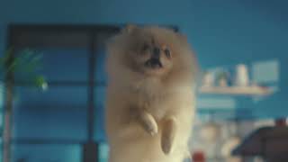 Lily's Kitchen — Cue The Dinner Dance\u2122 | LILY\u2019S KITCHEN TV Ad