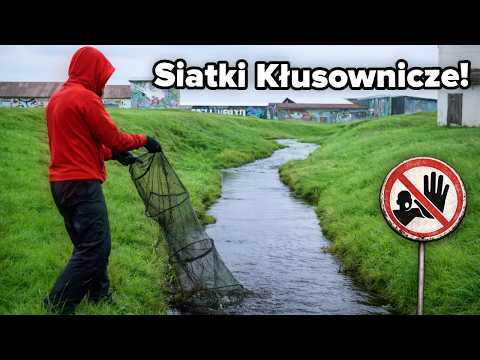 I caught a ton of fish on poaching nets!