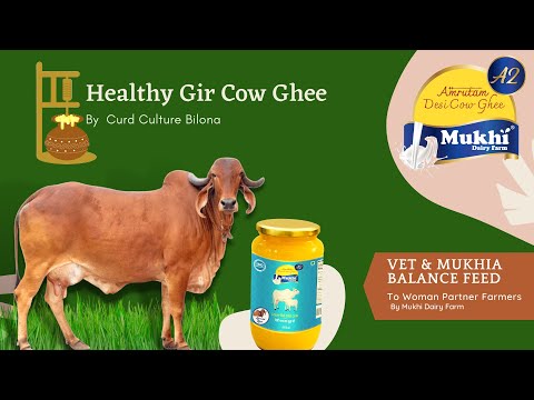 Amrutam a2 desi gir cow-ghee by mukhia
