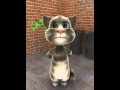 Talking Tom Big Balls
