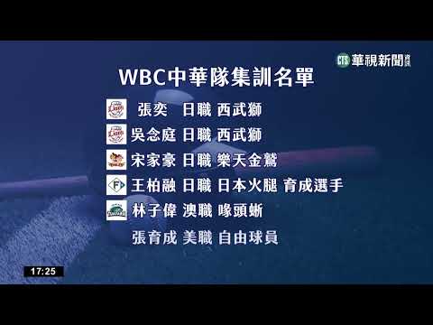 WBC集訓公布部分名單 中華隊曝6旅外球員