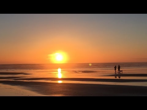 Thumbnail for Show of Hands (cover) Walk with me (when the sun goes down) 999stevethomas by Thomas s