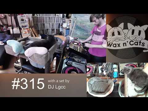 Wax n Cats #315 w/ DJ Lgcc