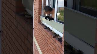 Man Discovers Bats Hiding In Odd Place