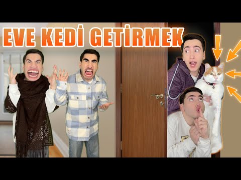 Mine ve Akrabaları 7.Bölüm - Mine Eve Gizlice Kedi Getiriyor!