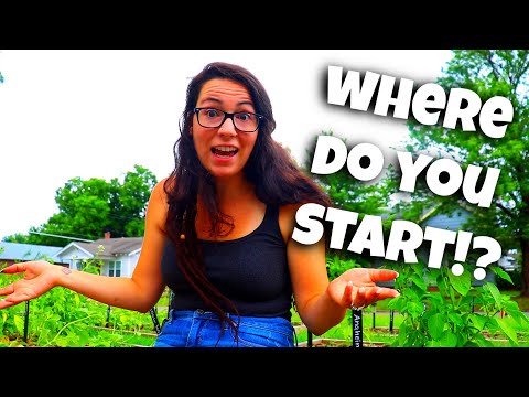 How To Start an Urban Homestead - Where to Begin | Collaboration | Homestead Dreaming