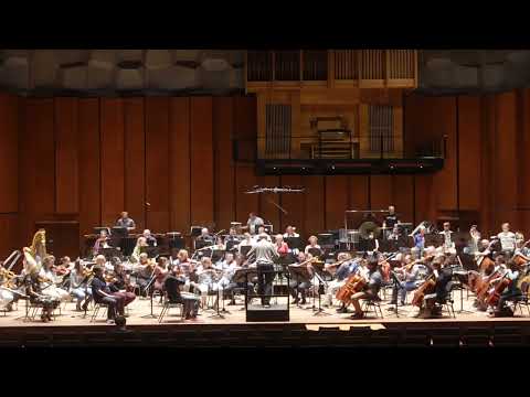 Jhalla in Raga Darbari - Arjan Linker (selections)