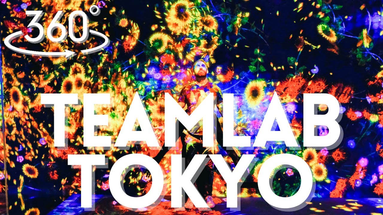 teamLab Planets Tokyo 360° | Immersive Digital Art VR Tour