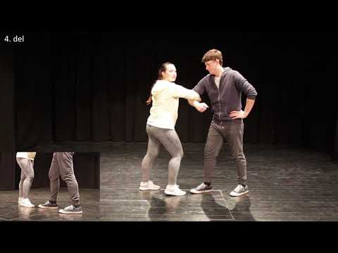 Štajerski ljudski ples - plesački ples oz. pobreška polka